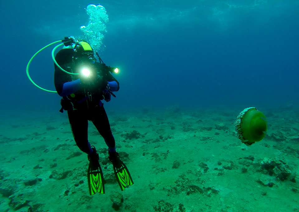 montenegro diving