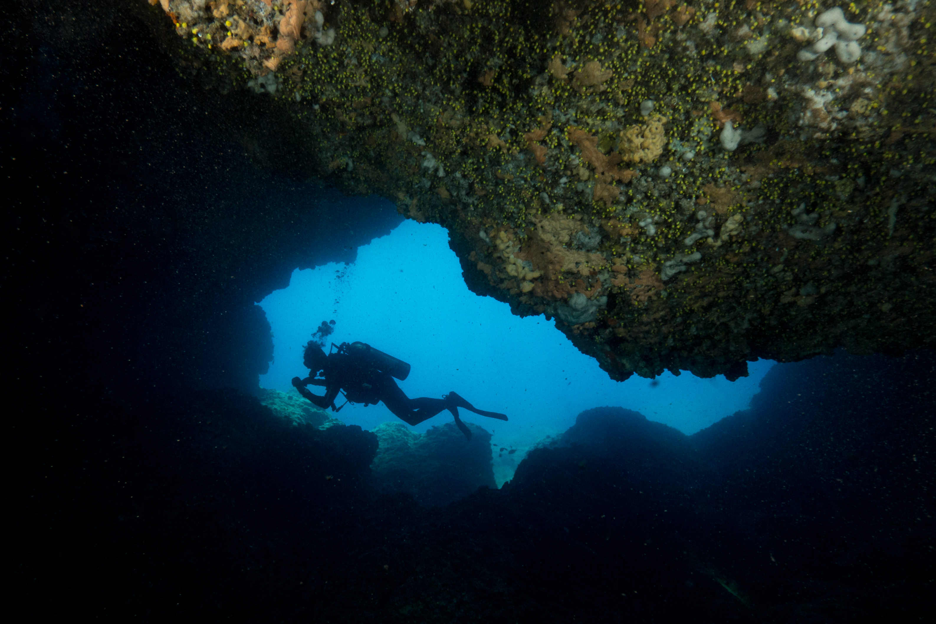 Montenegro cave  diving