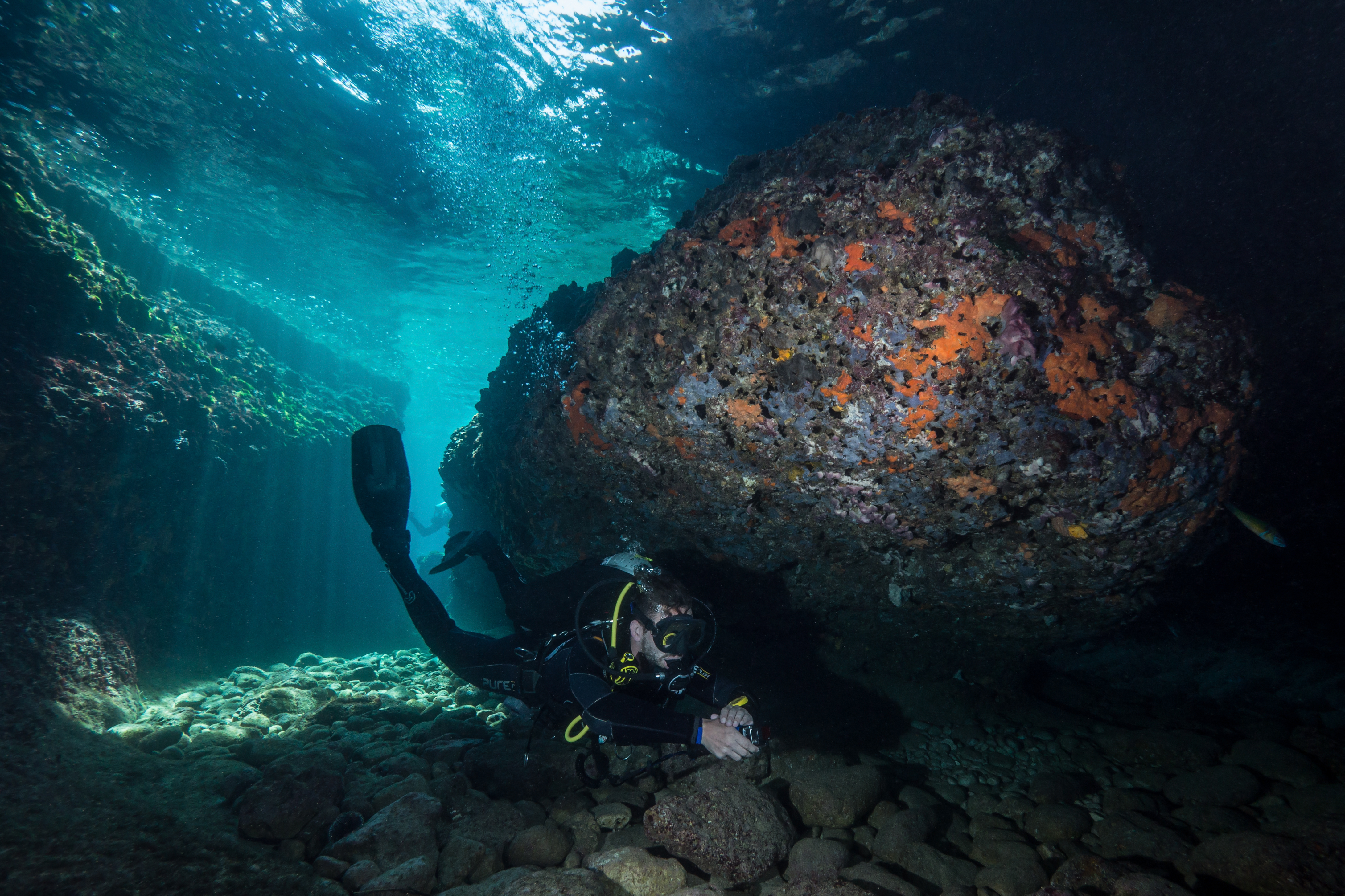 Montenegro reef diving 