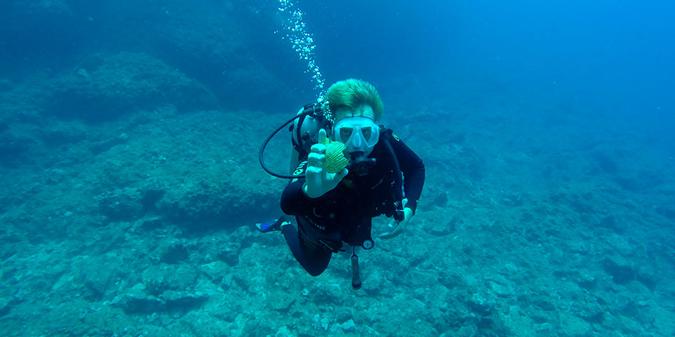 SCUBA diving ponuda